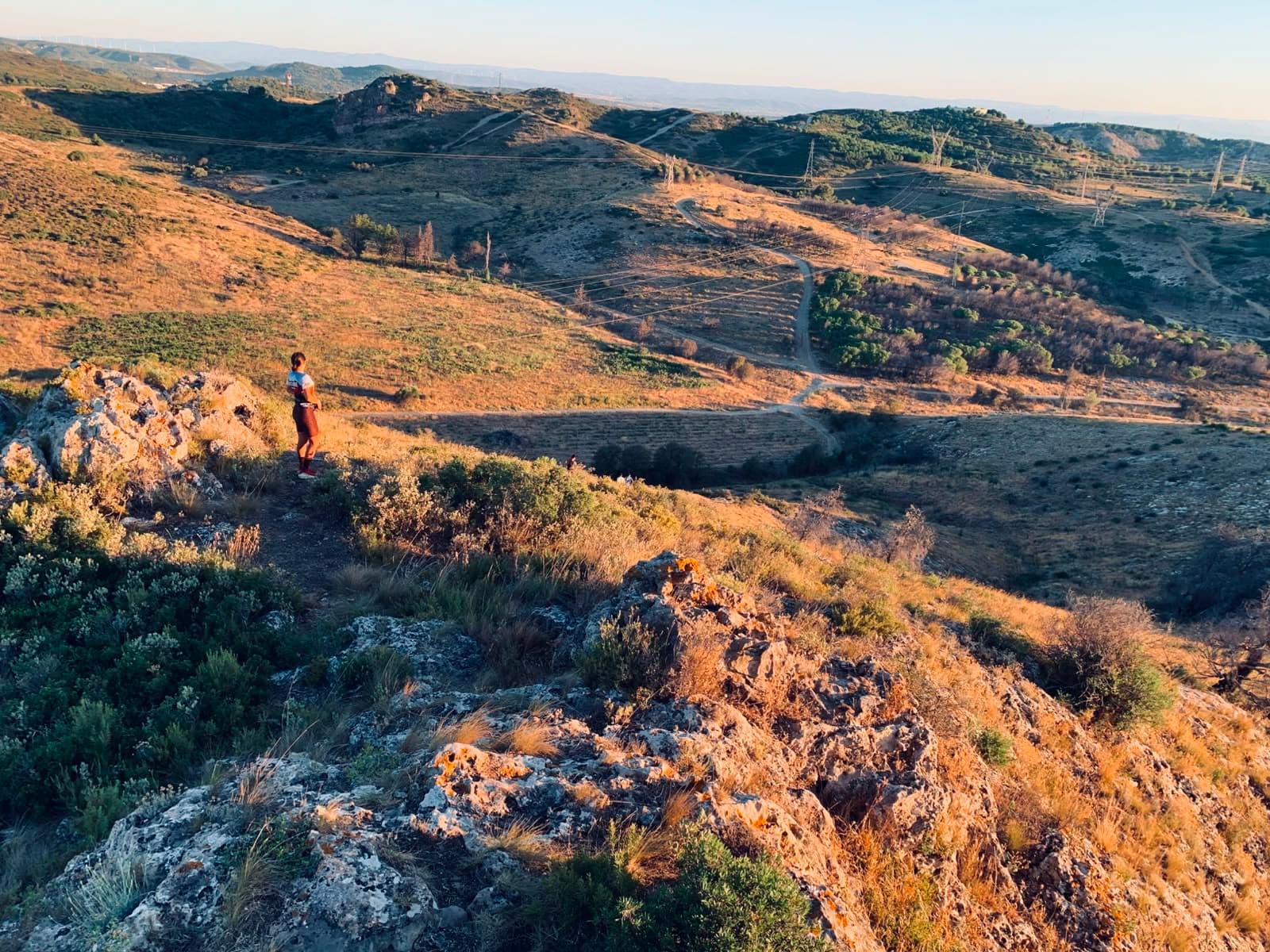 Traileuse en surplomb des collines dans la lumière dorée, autour de Narbonne