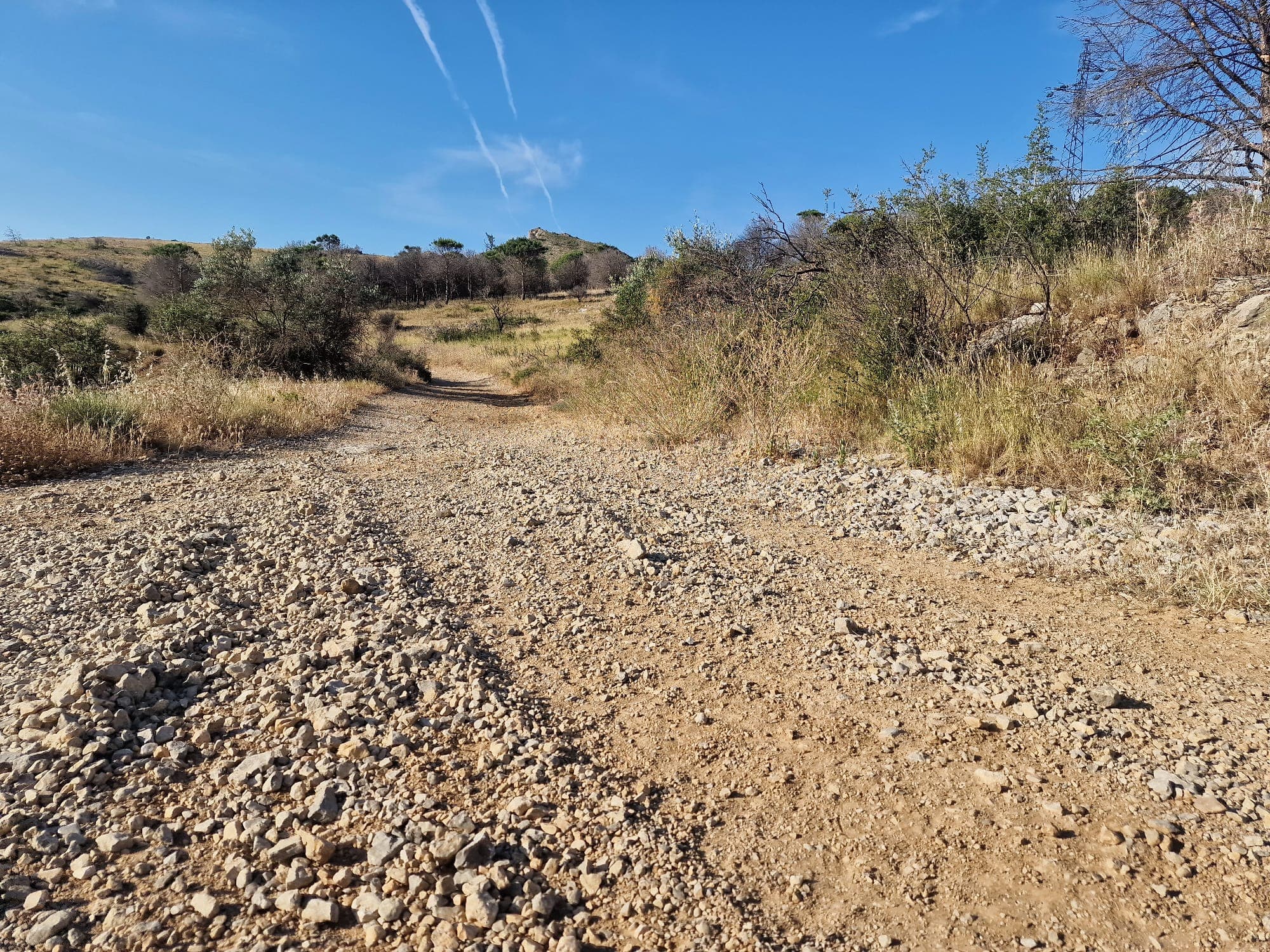 Chemin de garrigue sur les sentiers du club, autour de Narbonne